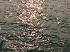 -招商蛇口邮轮母港(观光客运)