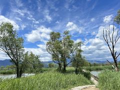 -野鸭湖国家湿地公园