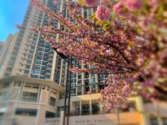 -苏州河梦清园环保主题公园