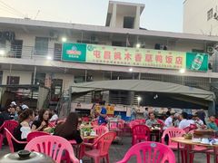 -霞姐屯昌枫木香草鸭店(海螺店)
