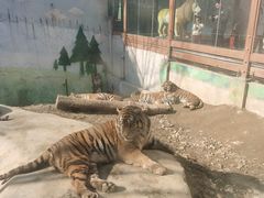 -栾川竹海野生动物园