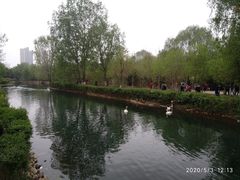 -长白岛森林公园