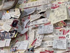 -沉香牛肉面