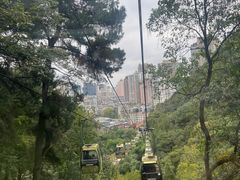 -黔灵山公园