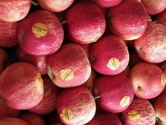 -水果e家(南城店)