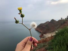 -刘家峡水库