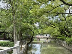 -嘉定紫藤园