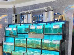 -沈胖子音乐烤吧·炒菜·龙虾(环城东路店)