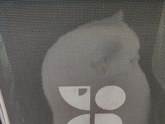 -爱侣·安琦尔宠物医院·中兽医针灸·心内科·狂犬免疫点(宝山区院)