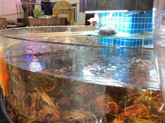 水产区-盱眙小龙虾(天虹店)