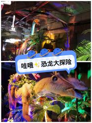 -恐龙探索乐园(磁器口店)