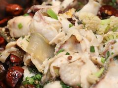 -百岁鱼(七一路店)