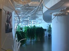 -哈尔滨圣安口腔专科医院