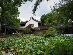-上海醉白池公园