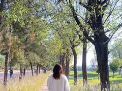 -汉长安城未央宫国家考古遗址公园