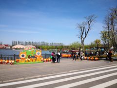 -上海长兴岛郊野公园