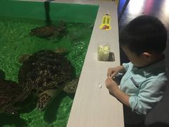 -常州海昌海洋探索馆