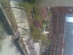 -山东大学(软件园校区)