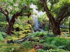 -Chom Cafe and Restaurant