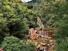 -华蓥山天意谷景区