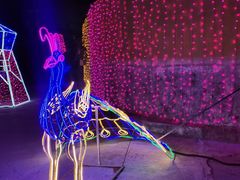 -海盗传奇水世界