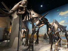 -国家自然博物馆