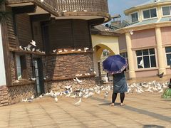 -沈阳方特欢乐世界