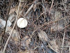 -大龙山(地铁站)