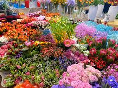 -双季花艺园艺市场(浦东店)
