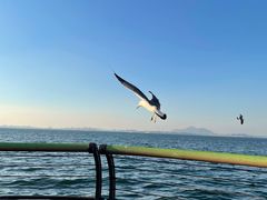-大连海昌东方水城