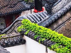 -蓬莱阁景区