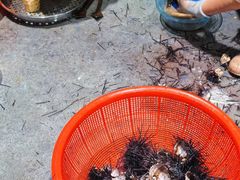 -哈味食店(外伶仃岛店)