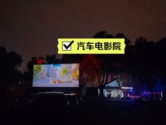 -枫花园汽车电影院(朝阳公园店)