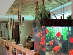 -原鄉本味 楚菜 丹江口鱼(北苑店)