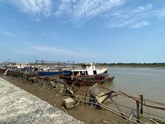 -大湾区中央湿地公园-十九涌