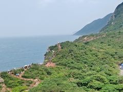 -杨梅坑