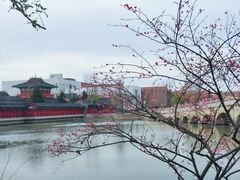 -广富林郊野公园