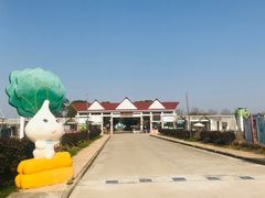 -上海都市菜园