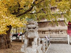 -北京石刻艺术博物馆(五塔寺)