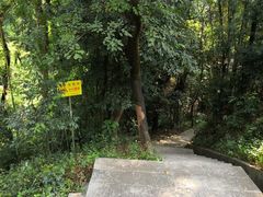 -广州市帽峰山景区