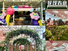 -盈香心动乐园