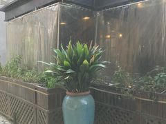 -玛格萝妮比萨屋(四平店)