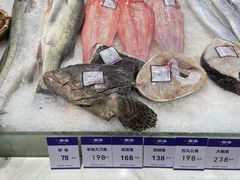 -开海·红岛海鲜虾水饺(石老人店)