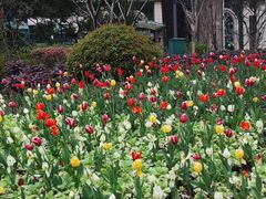 -上海市黄浦区教育学院附属中山学校