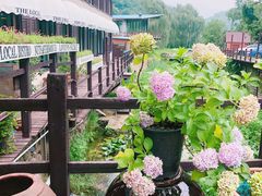 -Local泰莲庭(虹鳟鱼店)