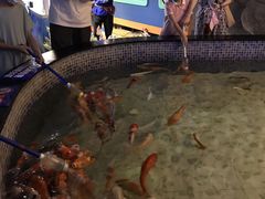 -烟台海昌鲸鲨海洋公园