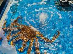 -大润发(康桥店)