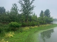 -东郊湿地公园