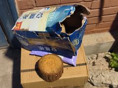 -津乐园(芥园道店)