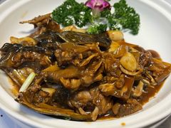 红烧甲鱼-老李家土菜馆·安吉地标美食